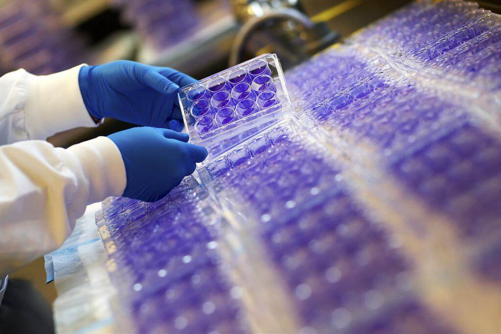 cell culture lab, cell plate, and wells