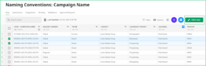 Naming conventions for standardizing data